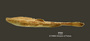 Bunocephalus colombianus FMNH 56038 holo lat